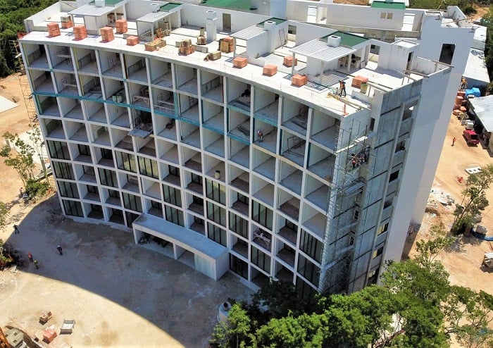 La Ceiba, Bosques de Ciudad Mayakoba 14